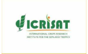 Our Client: ICRISAT